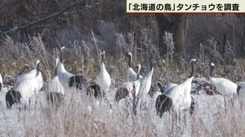 （写真：テレビ北海道）