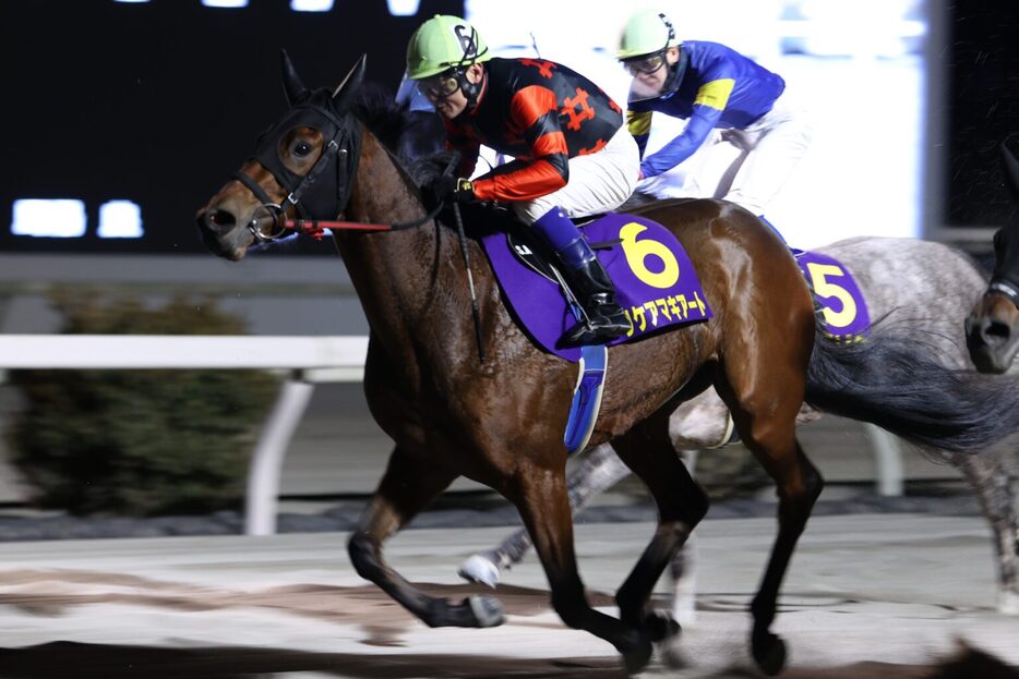 金の鞍賞・リケアマキアートと赤岡修次騎手 (C)高知県競馬組合