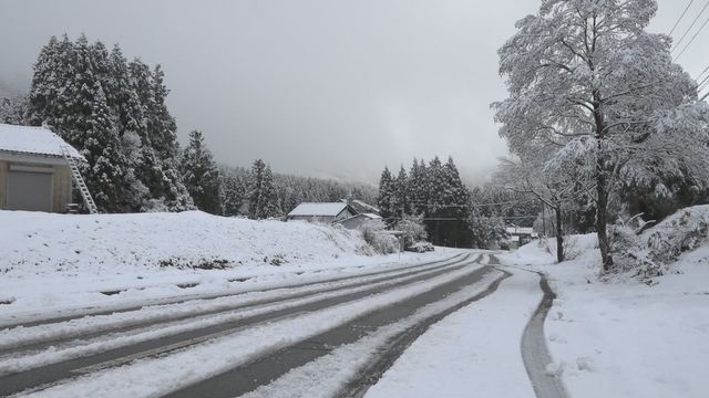 奥越では積雪も=午後9時ごろ、大野市内