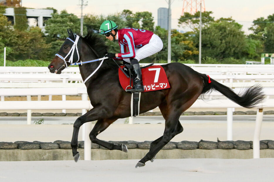 兵庫JG・ハッピーマンと坂井瑠星騎手（提供：兵庫県競馬組合）