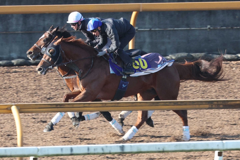 横山典弘騎手が騎乗し、CWコース併せ馬で追い切られたダノンデサイル（右）