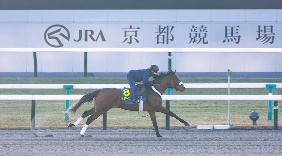 　京都競馬場のダートで追い切り、力強い動きを見せたメイデイレディ