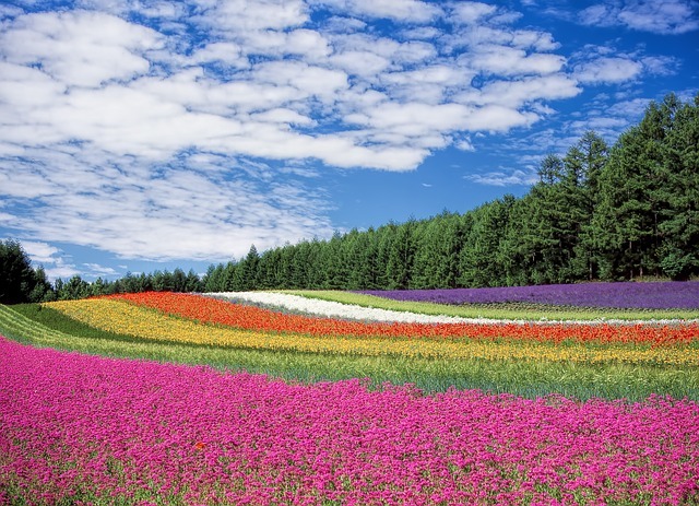 旅行者の移動傾向を定量測定