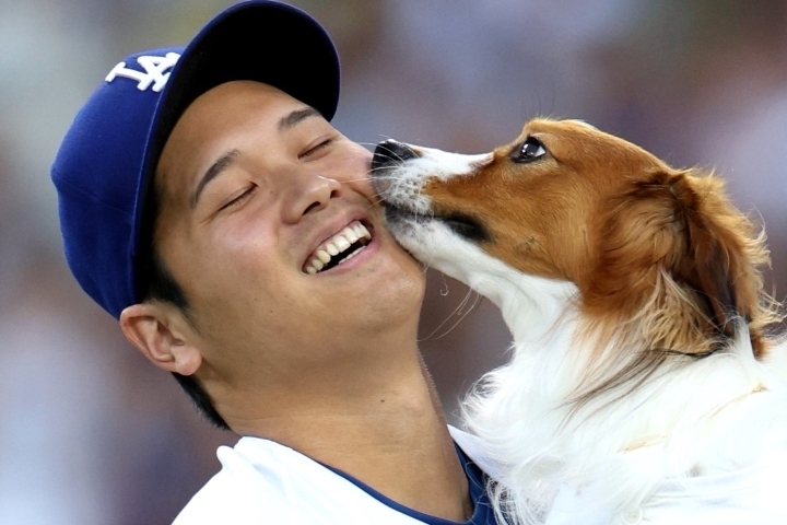 大谷翔平のプロフィール欄に、デコピンの名前が記載されるかもしれない。(C)Getty Images