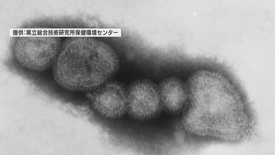 県　インフルエンザ注意報を発令　県内全体で先週より２倍に　広島