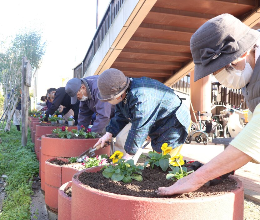 パンジーやビオラを花壇に植える老人会のメンバーたち（京都府福知山市前田）