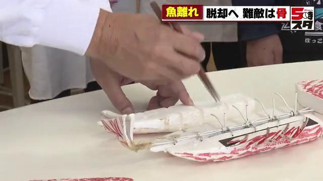 魚の模型を使って食べ方をレクチャー