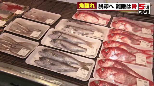 ニギスやクロムツ、キンメダイなどが並ぶ山本水産の店内