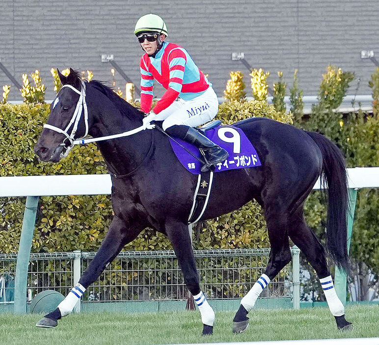 有馬記念１３着がラストランになったディープボンド（カメラ・岡野　将大）