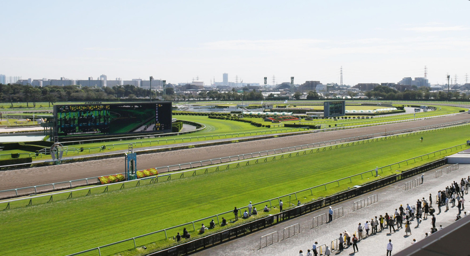 中山競馬場の最終直線