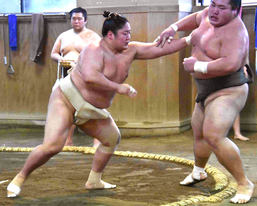 初場所へ向けて調整を続ける藤青雲（左）（カメラ・大西　健太）