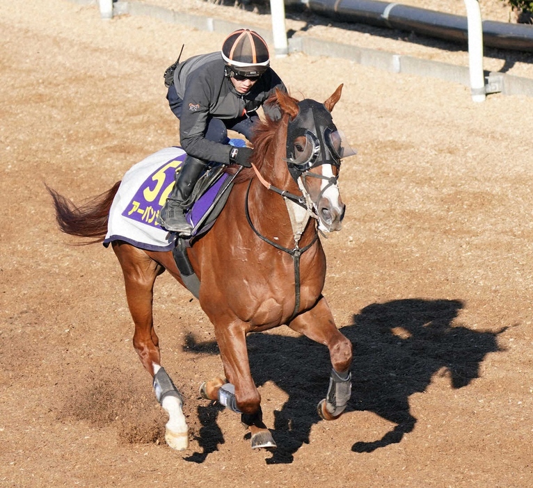 坂路で調整するアーバンシック（撮影・村上　大輔）