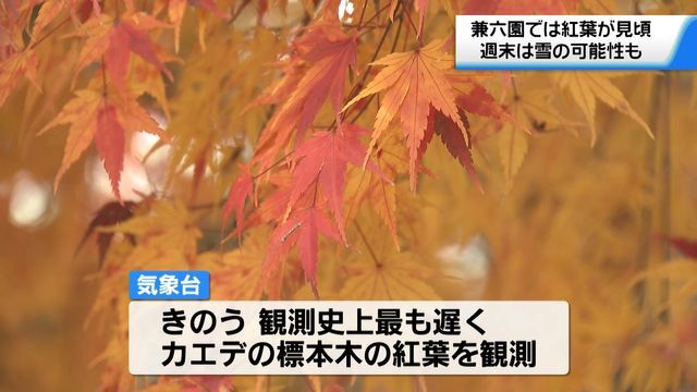 テレビ金沢NEWS