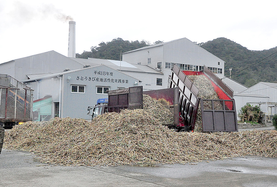 原料搬入が始まった富国製糖＝12日、鹿児島県奄美市笠利町