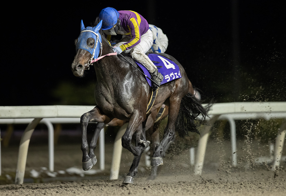 金杯・ラヴェイと山本政聡騎手 (C)岩手県競馬組合