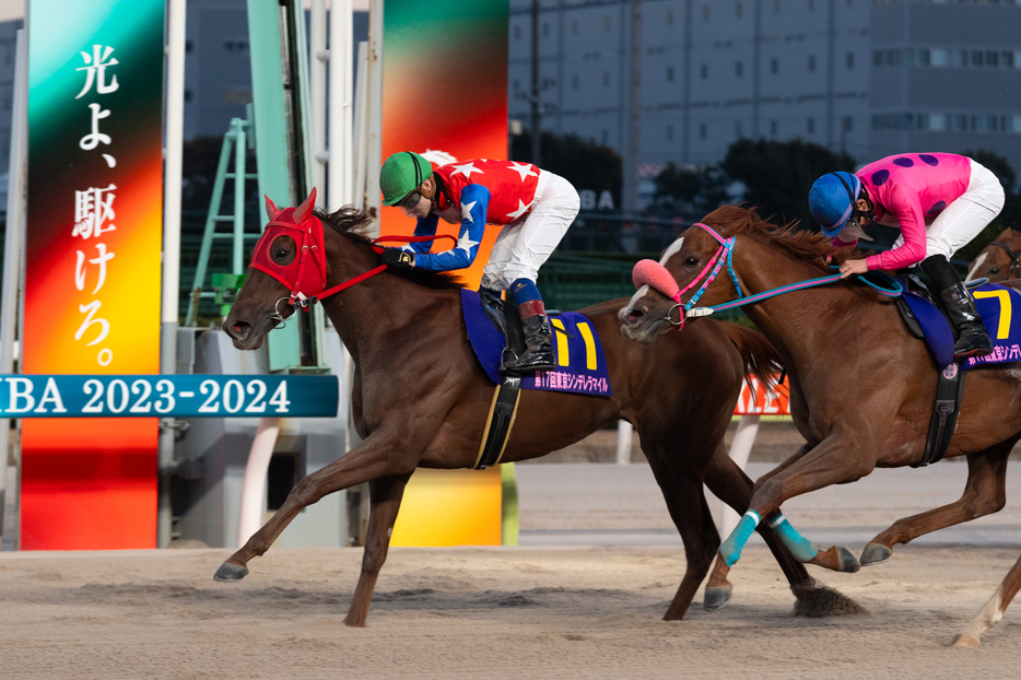 2023東京シンデレラマイル・スピーディキックと御神本訓史騎手 (C)東京シティ競馬