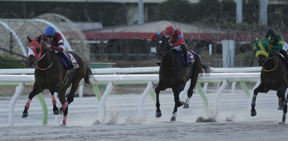 ＜東京大賞典＞レースを制したフォーエバーヤング、3着のラムジェット、2着のウィルソンテソーロ（左から）＝撮影・郡司　修