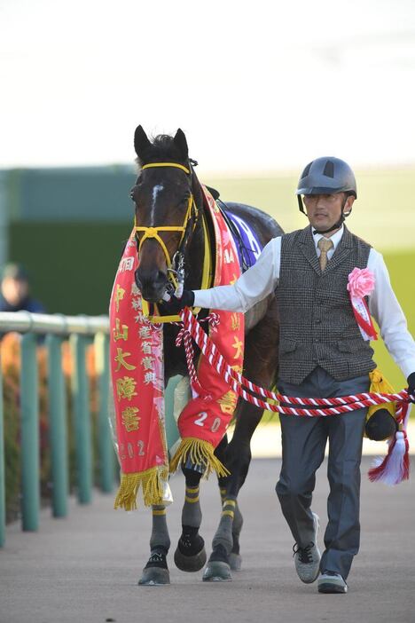 中山大障害を制したニシノデイジー＝21日、中山競馬場（撮影・奈良武）