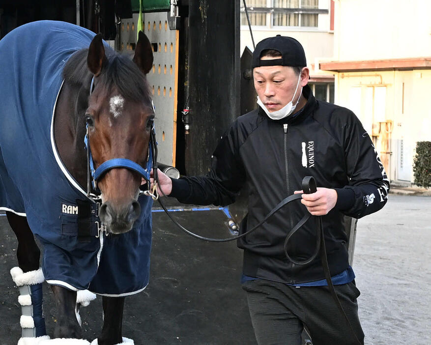 中山競馬場に到着したブローザホーンを引く富岡助手（撮影・千葉一成）