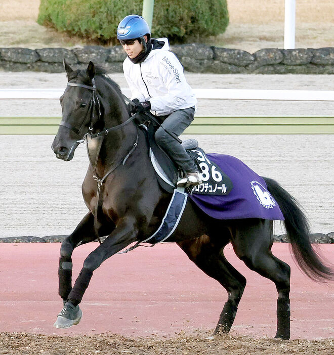 ２戦２勝でＧ１タイトルに挑むクロワデュノール