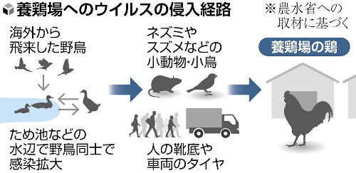 （写真：読売新聞）