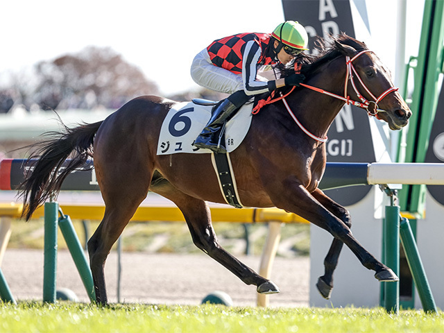 デビュー戦を快勝したジュタ(撮影：下野雄規)