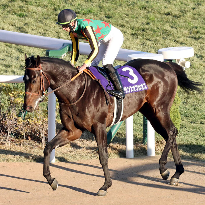 ルーキーの吉村誠之助騎手が騎乗したランスオブカオスは３着（カメラ・豊田　秀一）