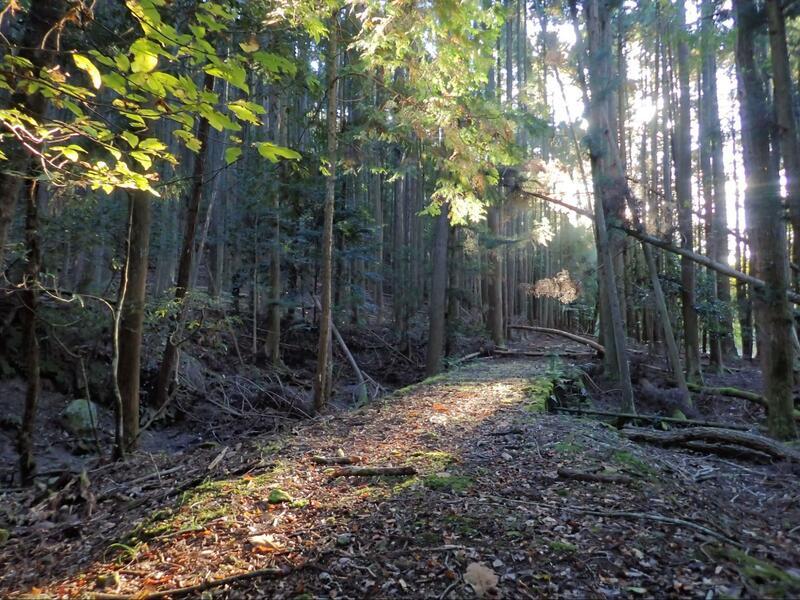 西鎌倉山登山道