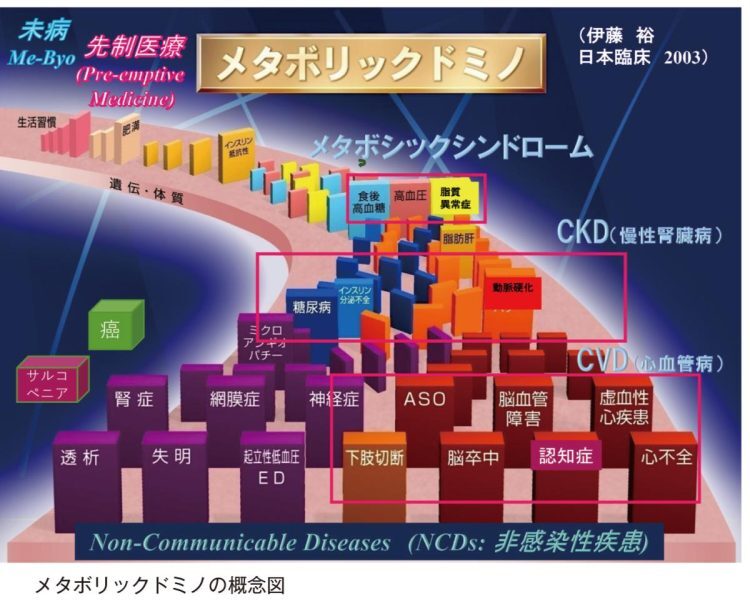 メタボリックドミノの概念図