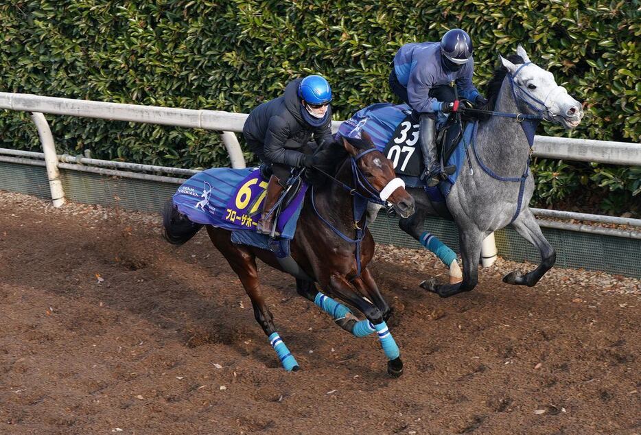 ブローザホーン（手前）は菅原明騎手を背に有馬記念の追い切りを行った（撮影・岩川晋也）