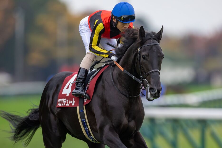 東京スポーツ杯2歳S・クロワデュノールと北村友一騎手