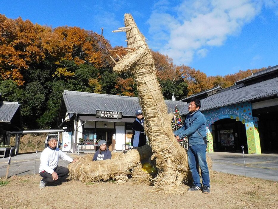 空に向かって大きく口を開けたヘビの稲わらアート作品を作ったわらアートチームぎふのメンバー＝美濃加茂市山之上町、ぎふ清流里山公園