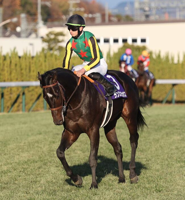 朝日杯FSで3着に敗れたランスオブカオス＝京都競馬場（撮影・安部光翁）