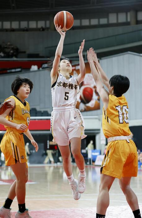 京都精華学園―聖カタリナ学園　第1クオーター、シュートを放つ京都精華学園・橋本＝東京体育館