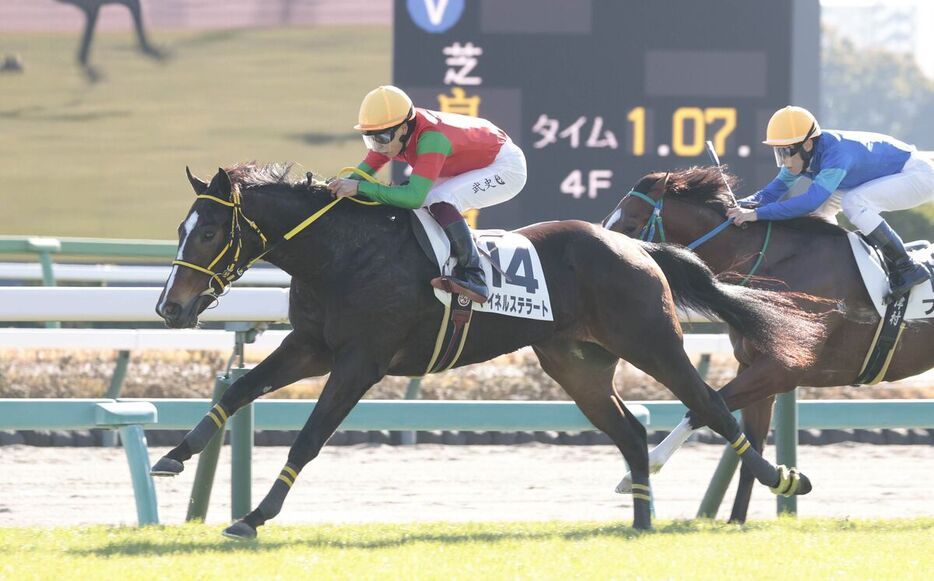 初勝利を飾ったマイネルステラート（左）（カメラ・荒牧　徹）