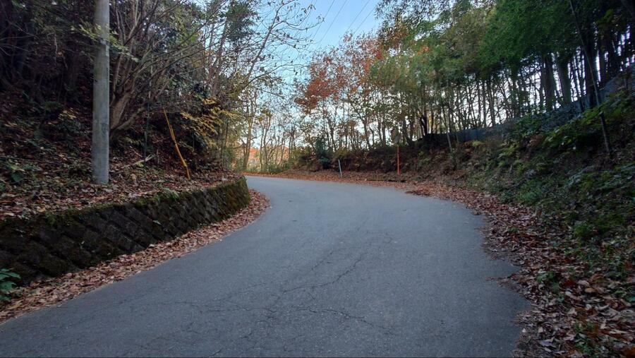 登山口までの歩道がなく、カーブの多い車道。注意して通行してほしい