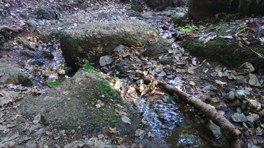 水の流れが道の上を通っている箇所もあるので足元要注意！