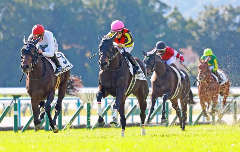 　新馬戦を快勝したマディソンガール（中央）＝撮影・石湯恒介