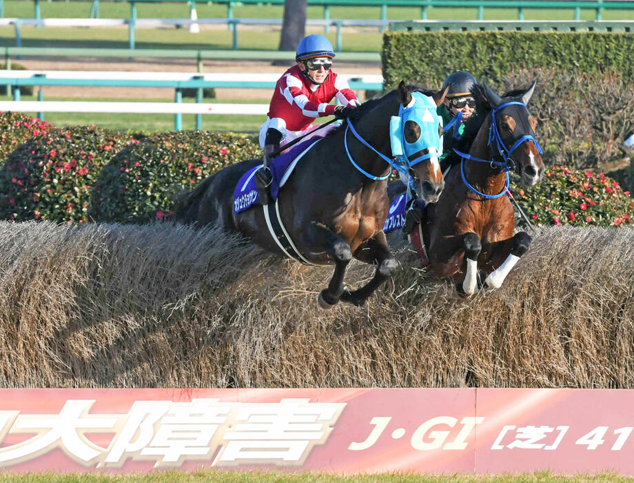 17年中山大障害を制したオジュウチョウサン（左）