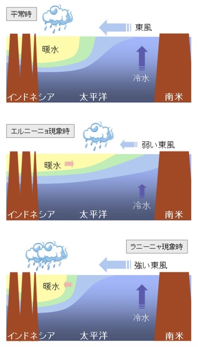 エルニーニョ・ラニーニャ現象に伴う太平洋熱帯域の大気と海洋の変動