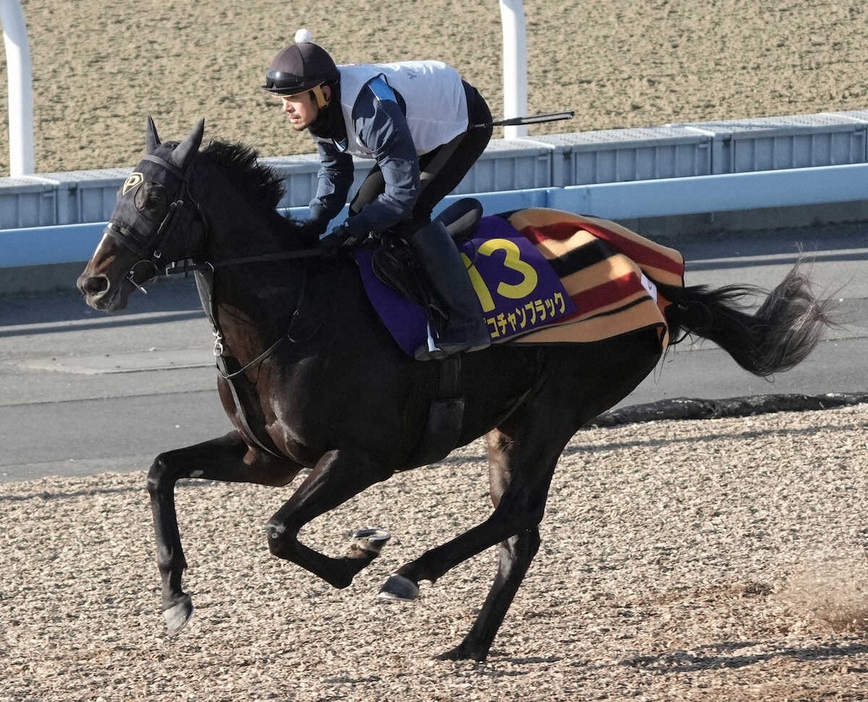 ウッドチップコースで追い切るピコチャンブラック（撮影・郡司修）