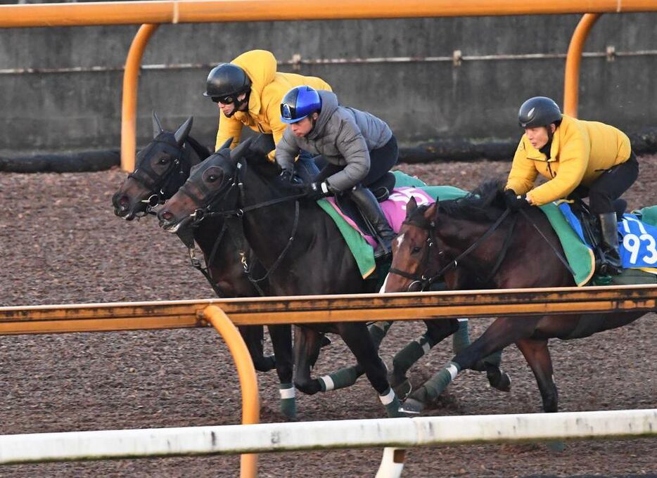 アルマヴェローチェ（左奥）＝4日、栗東トレセン（撮影・菅原和彦）