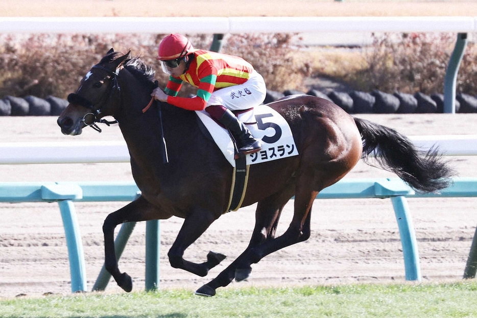 ＜中山5R・メイクデビュー中山＞新馬戦を制した（5）ジョスラン　（撮影・村上　大輔）