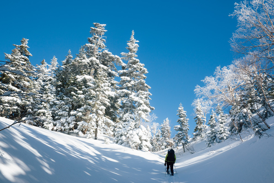 写真：PEAKS