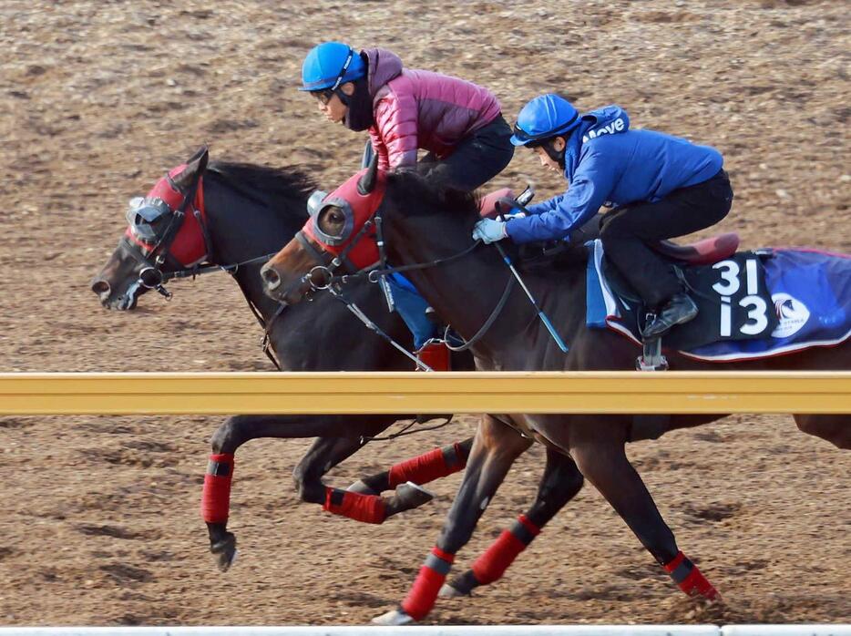 　栗東ＣＷで先着を決めたジューンベロシティ（奥）＝撮影・石湯恒介