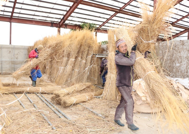 万博に向け、茅を出荷する蒜山茅刈出荷組合のメンバー