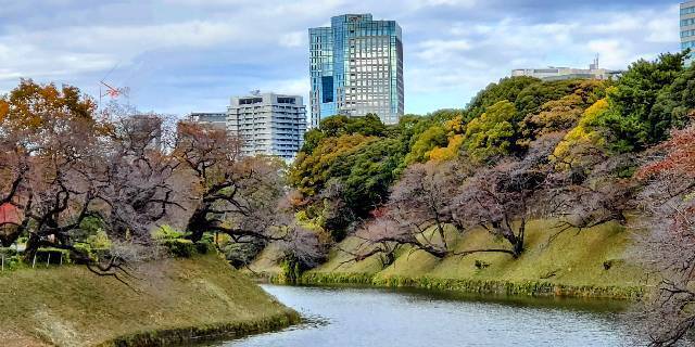 皇居を擁する東京のど真ん中がふるさと納税を決めた理由