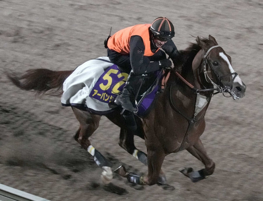 ＜有馬記念日曜追い＞坂路で追い切るアーバンシック（撮影・郡司　修）