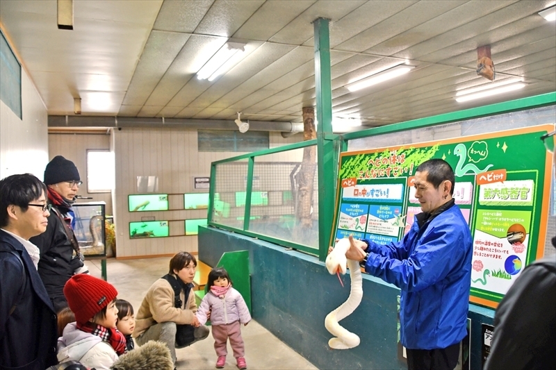 飼育員から生態や特徴について説明を受ける来園者