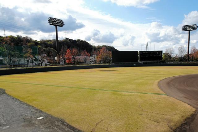 12月上旬の紀三井寺公園野球場。来夏の熱戦を静かに待っている=2024年12月11日、和歌山市毛見、寺沢尚晃撮影